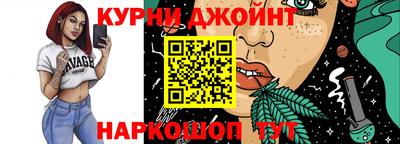 МДПВ Партизанск