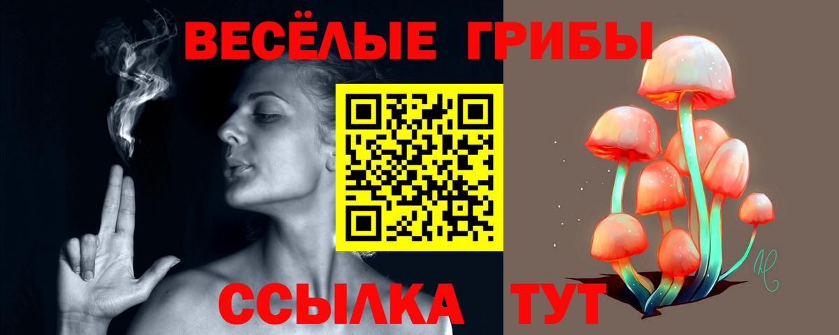 купить наркотики сайты  Псилоцибиновые грибы GOLDEN TEACHER  Вход с VPN  Прокопьевск 